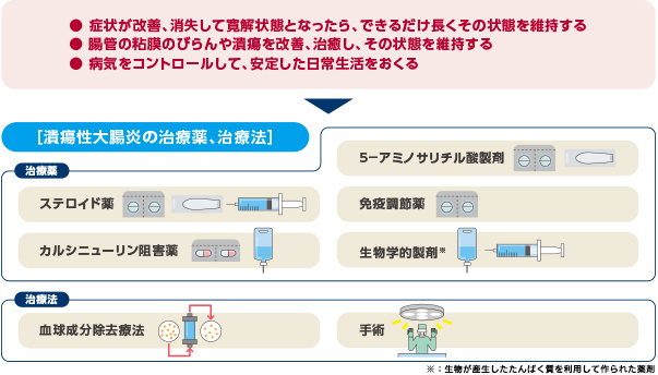 潰瘍性大腸炎の治療薬、治療法