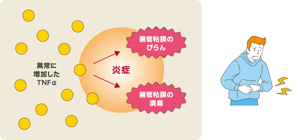 体内のTNFα
