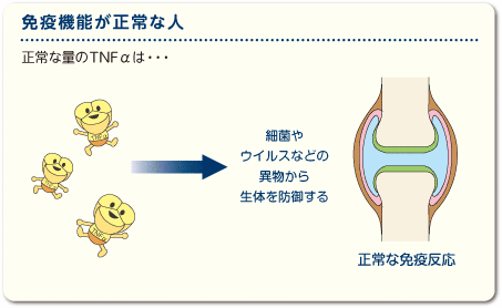 免疫機能が正常な人 正常な量のTNFαは細菌やウイルスなどの異物から生体を防御する